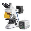 Kategorie Fluorescence Microscopes image